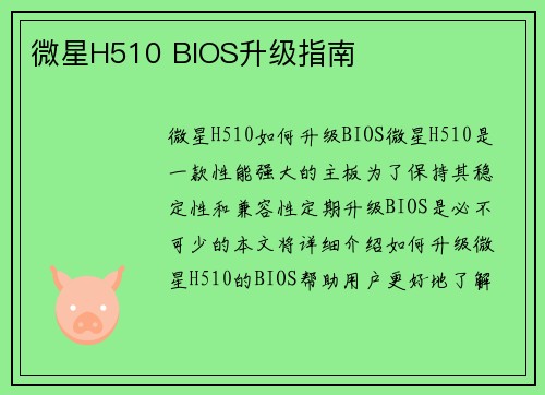 微星H510 BIOS升级指南